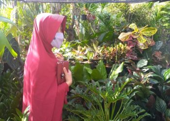 Ririt, penyuka bunga hias saat berburu di sentra bunga Desa Rembang Kediri. Foto: Bacaini