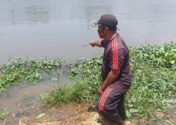 Bonari, perekam kemunculan buaya di Sungai Brantas. Foto: Bacaini/Budi S