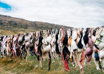 Ilustrasi bra. Foto: unsplash