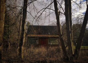 ilustrasi rumah tua (Unsplash)