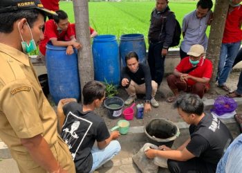 Limbah Singkong Jadi Pupuk Organik