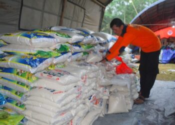 Bantuan beras di posko darurat bencana alam erupsi gunung semeru (Foto:  Bacaini.id/ Moh Badar  Rizqullah)