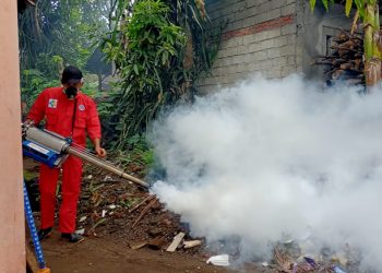 Selain Covid, Dinkes Kota Kediri Siaga DBD dan Cikungunya