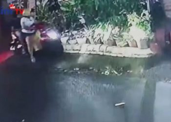 Pencuri Bunga Hias Terekam CCTV