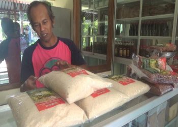 Komunitas Petani Gubuk Lazaris Produksi Beras Tanpa Pestisida