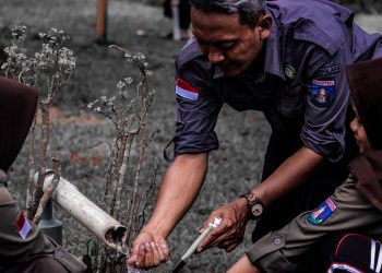 Baden Powell, Dari Tentara Sampai Pramuka