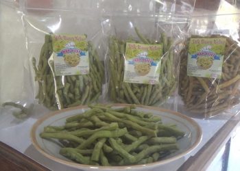 Stik Daun Kelor, Enak dan Sehat