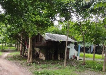 Makam Eyang Putri Semampir, Fakta Atau Mitos? (3)