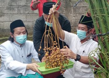 Haji Mustain, Perintis Tanam Kurma di Pot