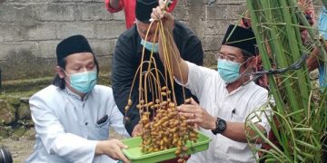 Haji Mustain, Perintis Tanam Kurma di Pot
