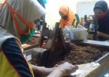 Buruh Rokok dan Petani Tembakau Jombang Akan Terima BLT Rp 300 Ribu Per Bulan