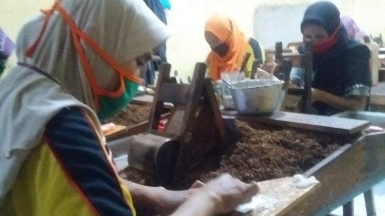 Buruh Rokok dan Petani Tembakau Jombang Akan Terima BLT Rp 300 Ribu Per Bulan