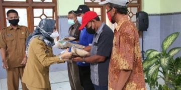 Bantu Petani, Wabup Kediri Beri Bantuan Benih Padi