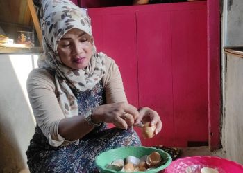 Heboh Warga Kediri Temukan Telur Palsu