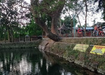 Misteri Ular Raksasa di Sumber Kembangan Paron