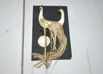 Lukisan serabut kelapa sebagai seni instalasi mahasiswa Tulungagung. Foto: Bacaini/Naphan