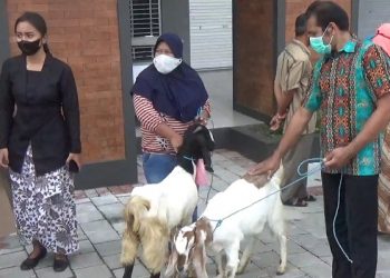 Peserta Vaksin di Trenggalek Dapat Hadiah Kambing