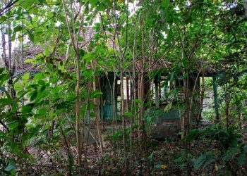 Rumah Angker Bangsongan Ini Ngerinya Setengah Mati