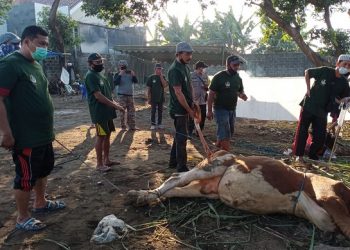Masjid Al Khalid Bagikan 800 Paket Daging Kurban
