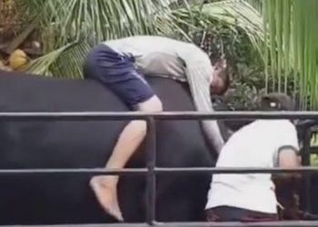 Video Kakek Menangisi Sapi Kurban Mengundang Pilu
