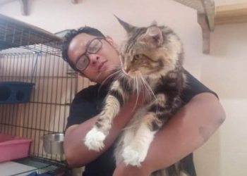 Ega Triosandi dan kucingnya. Foto: Dok