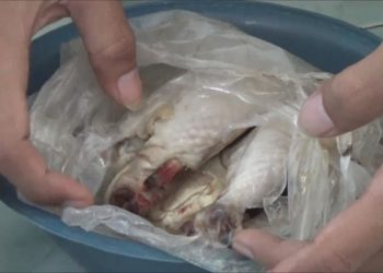 Warga Jombang Terima Bantuan Daging Busuk