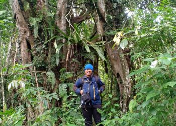 Dimas berpose di depan pohon besar dan tua di Hutan Pamongan. Foto: Dok