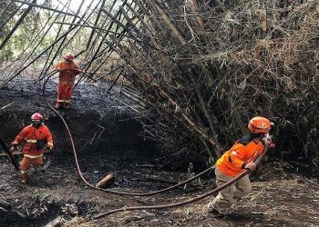 Pemkot Kediri Antisipasi Kebakaran Lahan