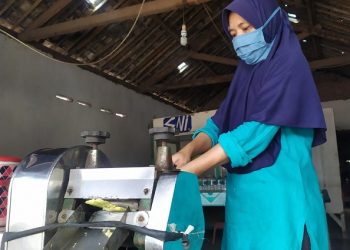 Es Tebu, Usaha Rakyat Yang Menggeliat (3)