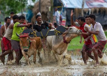 Pemkab Bangkalan Izinkan Perlombaan Karapan Sapi