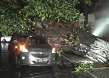 Tiba-tiba Mogok, Pengemudi Kaget Lihat Ini di Atas Mobilnya