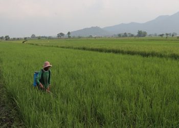 Dinas Pertanian Kampanyekan Agensi Hayati