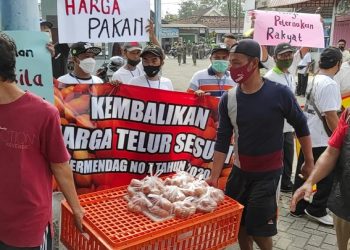 Peternak Kediri Bagikan 2,5 Ton Telur Gratis