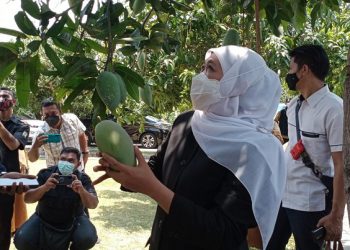 Lihat Buah Mangga, Ekspresi Khofifah Tak Terduga