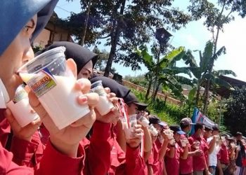 Gerakan Minum Susu di Lereng Gunung Anjasmoro