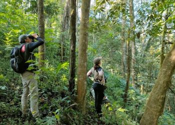 Hutan Ngantang Simpan 9 Jenis Burung Langka