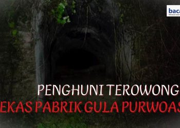 Penunggu Terowongan Bekas PG Purwoasri