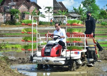 Presiden Jokowi Pastikan Tidak Impor Beras Sampai Akhir 2021