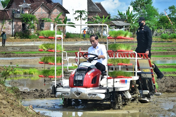 Presiden Jokowi Pastikan Tidak Impor Beras Sampai Akhir 2021