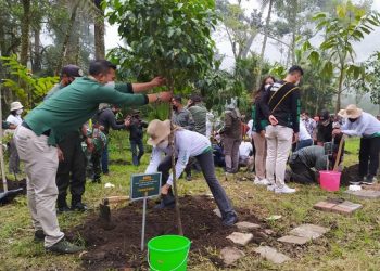 Cegah Banjir, Ribuan Pohon Ditanam di Hulu Sungai Brantas