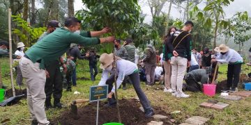 Cegah Banjir, Ribuan Pohon Ditanam di Hulu Sungai Brantas