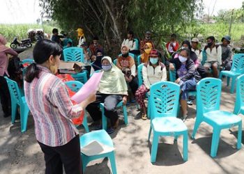 Petani Kelurahan Blabak Panen Brambang