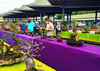 215 Bonsai Dipamerkan di SLG Kediri