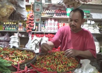 Harga Cabai Naik Dari 15 Ribu menjadi 70 Ribu