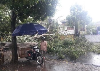 Hujan Es Kejutkan Warga Malang