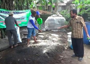 Wujudkan Inovasi Tani Organik, Petani Dilatih Pembuatan Pupuk