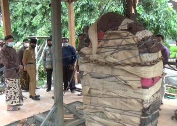 Tersimpan Lama di Tulungagung, Prasasti Kamulan Kembali ke Trenggalek