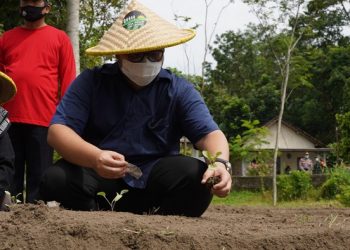 Bupati Kediri Pimpin Penghijauan Gunung Kelud dan Wilis