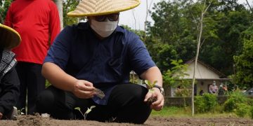 Bupati Kediri Pimpin Penghijauan Gunung Kelud dan Wilis