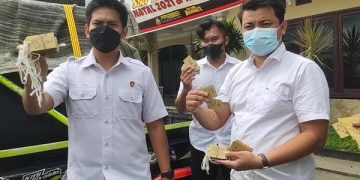 Pasca Insiden Panggung Roboh, Polisi Periksa 22 Orang